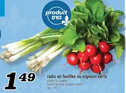 Marché Richelieu RADIS EN FEUILLES OU OIGNONS VERTS | BUNCH RADISHES OR GREEN ONIONS offer