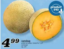 Marché Richelieu CANTALOUP | CANTALOUPE offer