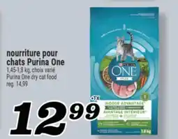Marché Richelieu NOURRITURE POUR CHATS PURINA ONE | PURINA ONE DRY CAT FOOD offer