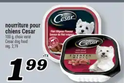 Marché Richelieu NOURRITURE POUR CHIENS CESAR | CESAR DOG FOOD offer