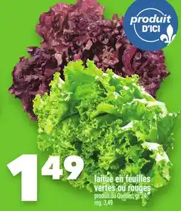 Marche Ami Laitue en feuilles vertes ou rouges offer