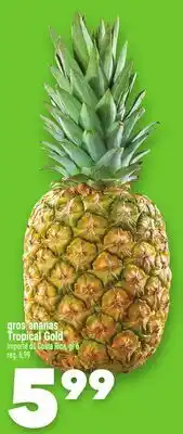 Marche Ami GROS ANANAS | TROPICAL GOLD offer