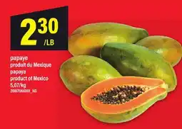 Maxi PAPAYE | PAPAYA offer