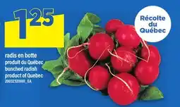Maxi RADIS EN BOTTE | BUNCHED RADISH offer