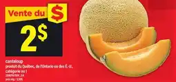 Maxi CANTALOUP offer