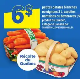 Maxi PETITES PATATES BLANCHES OU OIGNONS, 3 L, CAROTTES NANTAISES OU BETTERAVES, 1,5 offer