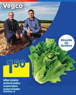 Maxi LAITUE ROMAINE | ROMAINE LETTUCE offer