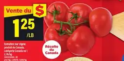 Maxi TOMATES SUR VIGNE offer