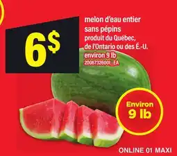 Maxi MELON D'EAU ENTIER SANS PÉPINS offer