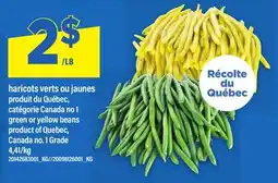 Maxi HARICOTS VERTS OU JAUNES | GREEN OR YELLOW BEANS offer