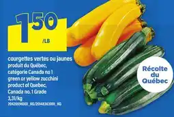 Maxi COURGETTES VERTES OU JAUNES | GREEN OR YELLOW ZUCCHINI offer