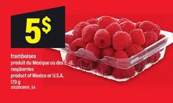 Maxi FRAMBOISES | RASPBERRIES offer