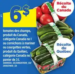 Maxi TOMATES DES CHAMPS, OU CORNICHONS À MARINER OU COURGETTES VERTES, panier de offer