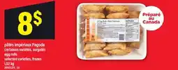 Maxi PÂTÉS IMPÉRIAUX PAGODA | EGG ROLLS offer