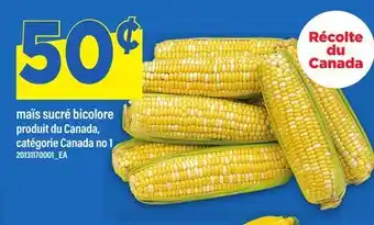 Maxi MAÏS SUCRÉ BICOLORE offer
