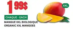 Marches Tau MANGUE XXL BIOLOGIQUE offer