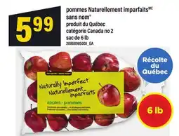 Maxi POMMES NATURELLEMENT IMPARFAITS SANS NOM , SAC DE 6 LB offer