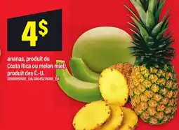 Maxi ANANAS offer