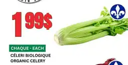 Marches Tau CÉLERI BIOLOGIQUE offer
