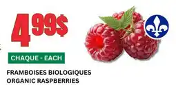 Marches Tau FRAMBOISES BIOLOGIQUES offer