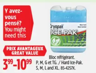 Canadian Tire Cryopak Hard Ice-Pak offer