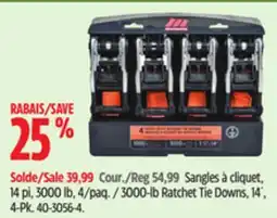 Canadian Tire Motomaster 3000-lb Ratchet Tie Downs,4 14´ offer