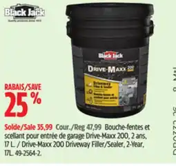 Canadian Tire Black Jack Drive-Maxx 200 Driveway Filler/Sealer, 2-Year, 17L offer