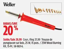 Canadian Tire 25W Wood Burning Kit offer