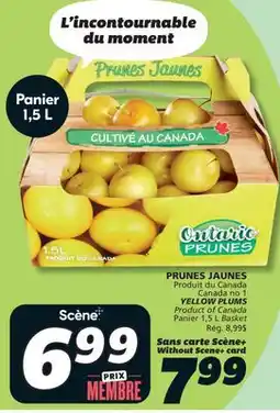 IGA YELLOW PLUMS offer