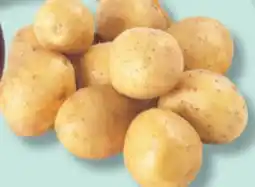 IGA YELLOW POTATOES offer