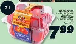 IGA NECTARINES offer