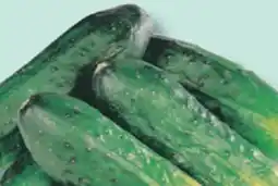 IGA CUCUMBERS offer