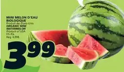 IGA ORGANIC MINI WATERMELON offer