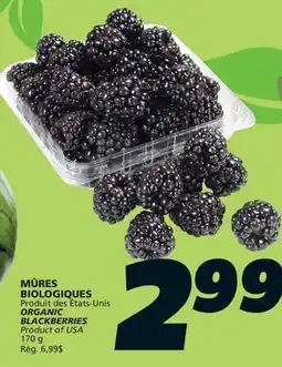 IGA ORGANIC BLACKBERRIES offer