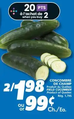 IGA FIELD CUCUMBER offer