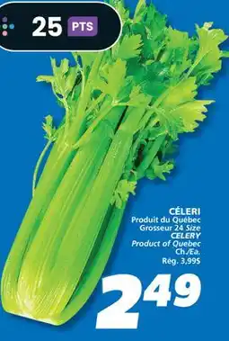 IGA CELERY offer