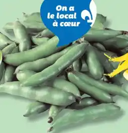IGA FAVA BEANS offer