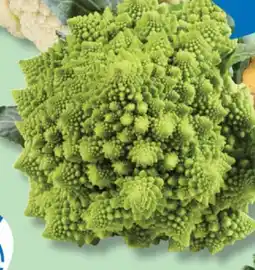 IGA ROMANESCO CAULIFLOWER offer