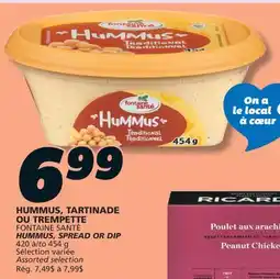 IGA FONTAINE SANTÉ HUMMUS, SPREAD OR DIP offer