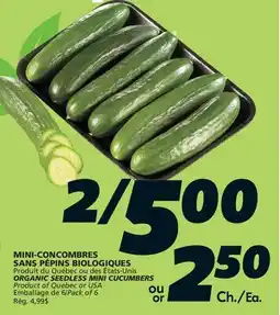 IGA ORGANIC SEEDLESS MINI CUCUMBERS offer