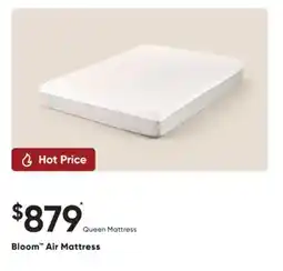 Dormez Vous Bloom Air Mattress offer