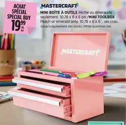 Canadian Tire MINI TOOLBOX Peach or emerald only offer