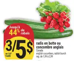 Marché Adonis RADIS EN BOTTE OU CONCOMBRE ANGLAIS | CANADA ENGLISH CUCUMBERS, RADISH BUNCH offer