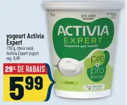 Marché Adonis YOGOURT ACTIVIA EXPERT | ACTIVIA EXPERT YOGURT offer