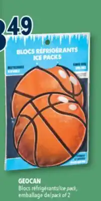 Familiprix GEOCAN Ice pack, pack of 2 offer