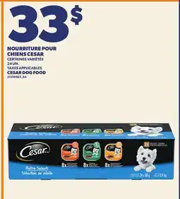 Provigo NOURRITURE POUR CHIENS CESAR | CESAR DOG FOOD, 24 UN offer