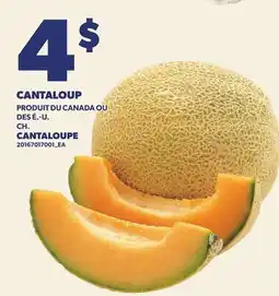 Provigo CANTALOUP | CANTALOUPE offer