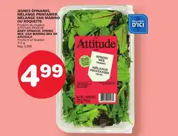 Marches Tradition ATTITUDE BABY SPINACH, SPRING MIX, SAN MARINO MIX OR ARUGULA offer