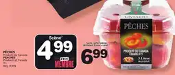 Marches Tradition PEACHES offer