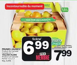 Marches Tradition YELLOW PLUMS offer